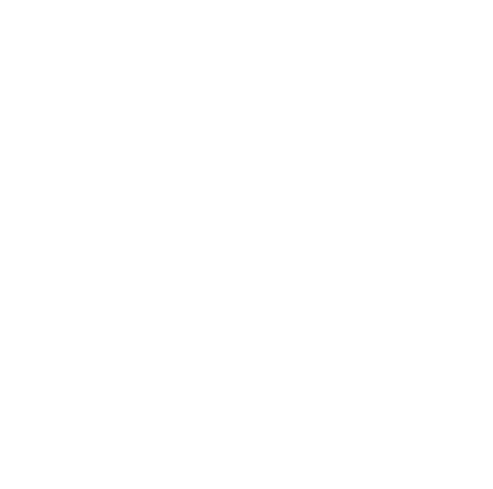 Mapping Network logo
